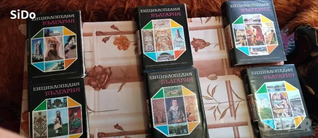 Лот 6 тома Енциклопедия България от 1978 до 1988г, снимка 5 - Енциклопедии, справочници - 50305489
