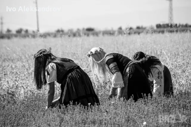 Професионален фотограф и видео с дрон, снимка 7 - Фотографи - 47111368