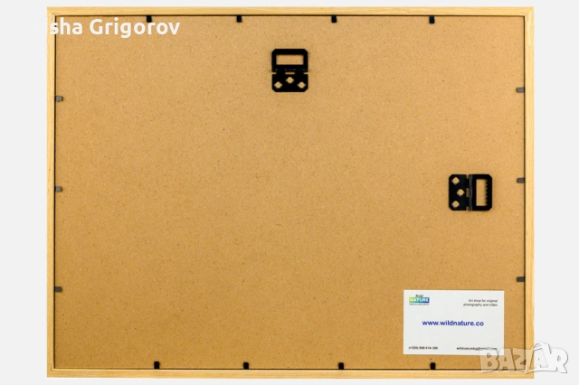 Фотокартина с муфлон, снимка 3 - Картини - 53961077