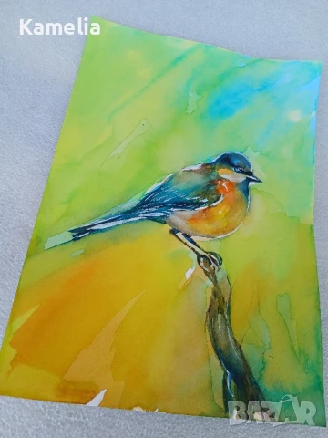 Картина "Птиче" - акварел , снимка 2 - Картини - 51082009