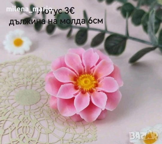 молдчета Нови модели, снимка 13 - Други - 53694841