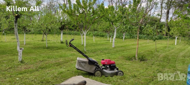 Косене на тревни площи и храсти, снимка 4 - Други услуги - 52864157