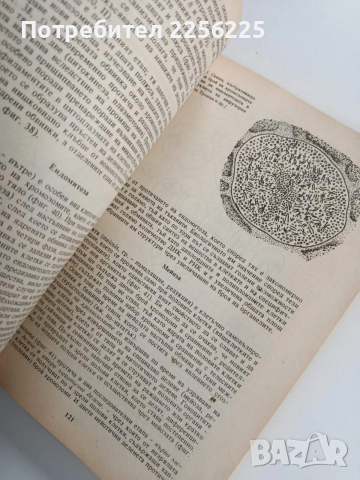 Цитология и хистология, снимка 2 - Специализирана литература - 53564660
