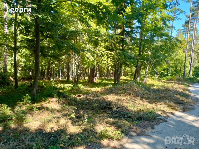 Имот хижа Здравец, снимка 5 - Земеделска земя - 50966083