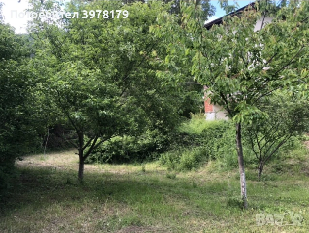 Вила до Драгоман (на 40 км от София), снимка 9 - Вили - 44133264