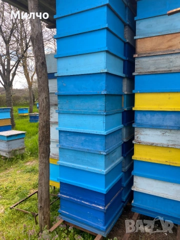 Магазини с изградени рамки, пчеларски, снимка 2 - Други - 50318111
