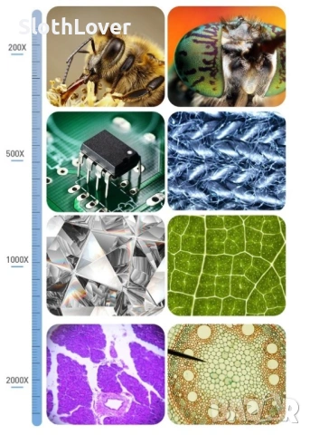 Нов дигитален микробиологичен микроскоп, снимка 5 - Друга електроника - 53925581