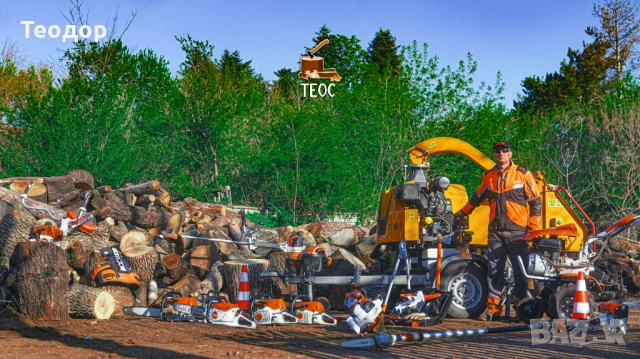 Професионално събаряне на опасни дървета с дробилка за клони – Варна, снимка 7 - Хамалски услуги - 53670270