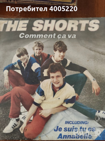 Грамофонни плочи - големи, снимка 14 - Грамофонни плочи - 52579014