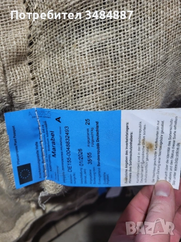 Семе картофи Клас А 35/55 Марабел, снимка 2 - Сортови семена и луковици - 53474789