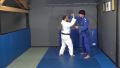 Джудо видео курс за деца Fundamental Judo For Kids By Jason Harai, снимка 3