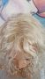 💗Средна Дължина Чуплива Перука в Перлено Светло Рус #613 Цвят с Бретон КОД : 9270💗 👑 💋 , снимка 4