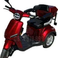 Електрически триколки B1 Premium - 1500 W, снимка 9 - Мотоциклети и мототехника - 45317786