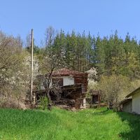 От собственик. Продавам къща в с. Лобош, община Ковачевци, Радомир , снимка 1 - Къщи - 46202643