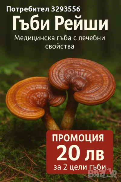 Гъби Рейши (Лакирана Гадорема), снимка 1
