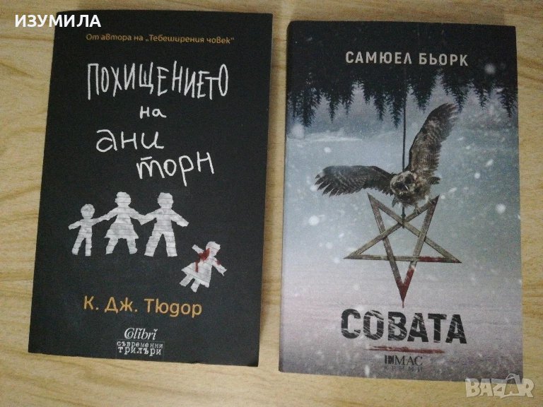 Похищението на Ани Торн - К. Дж. Тюдор / Совата - Самюел Бьорк, снимка 1