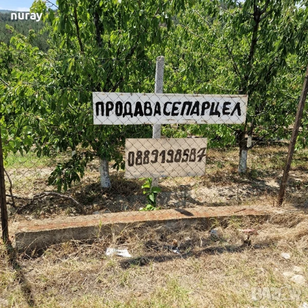 продава се парцел 600 кв , снимка 1