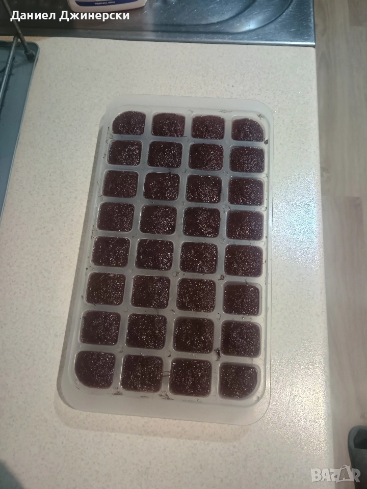 Замразен тубифекс, снимка 1