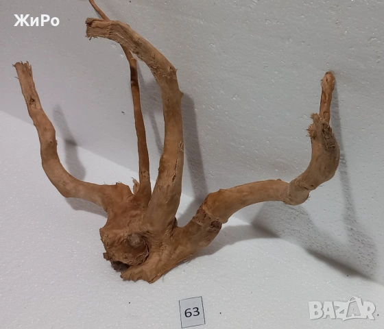 Корен от Азалия /декорация/ 63, снимка 3 - Други - 54102414