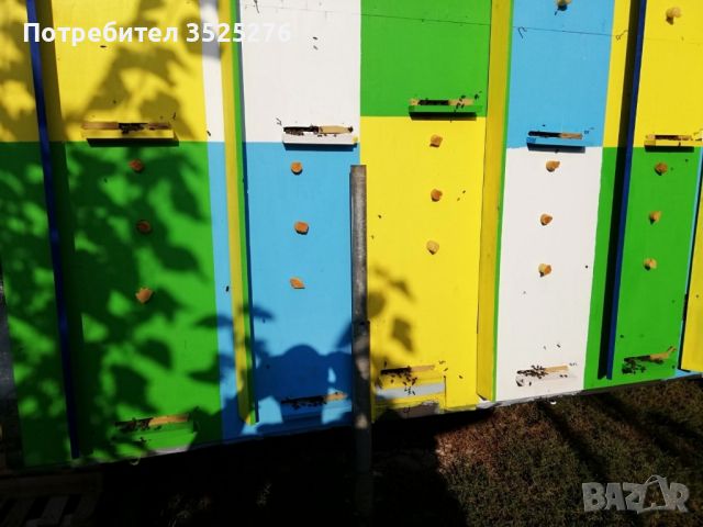 Павилион за пчелни семейства , снимка 10 - За пчели - 45775910