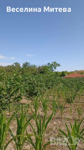 къща с градина, снимка 2 - Къщи - 51079570