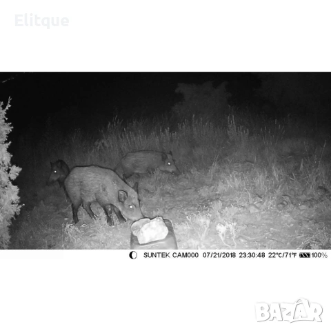 Ловна камера HC-801M/G - A144, снимка 13 - Друга електроника - 53127607