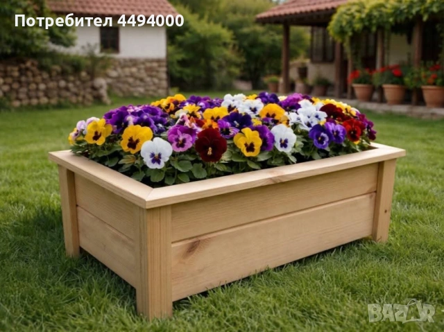 Саксии и кашпи, снимка 4 - Саксии и кашпи - 54271576