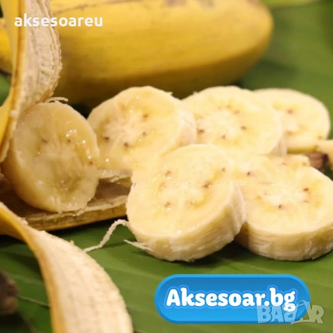 Нови 50 бр. Семена от Бонсай бананово дърво екзотични редки плодове палма за декорация на градината , снимка 10 - Сортови семена и луковици - 53428692