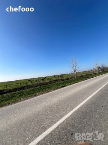 Продава се парцел в с.Житница, снимка 4 - Парцели - 52800724