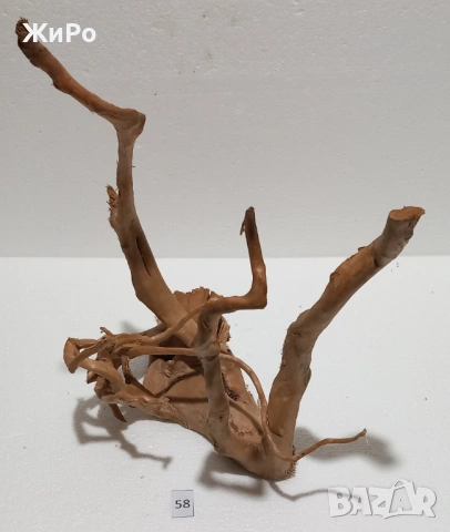 Корен от Азалия /декорация/ 58, снимка 2 - Други - 54102302