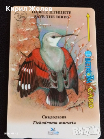 Три фонокарти БЕТКОМ тема ЖИВОТНИ БУХАЛ,СОВА,СКАЛОАЗКА за КОЛЕКЦИЯ 48623, снимка 4 - Колекции - 51666505