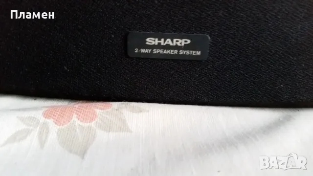 Тонколона SHARP CP-R 160, снимка 2 - Тонколони - 48733582