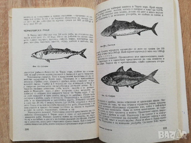 Материалознание на хранителните продукти, А. Андреев, Д. Колев, снимка 3 - Специализирана литература - 52206422