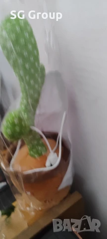 Пеещ и танцуващ кактус- катерица, снимка 3 - Други - 51418250