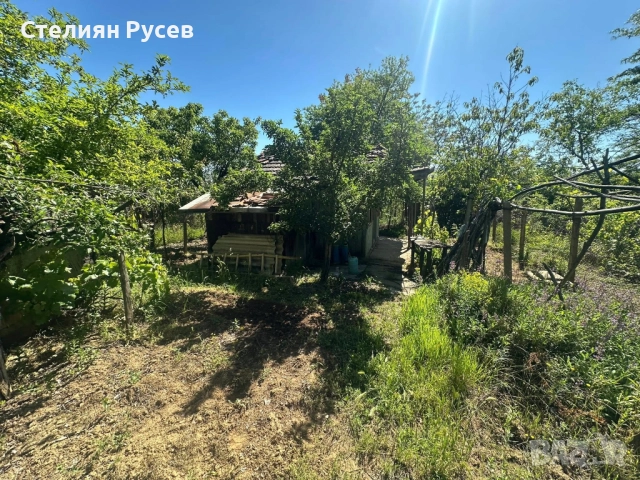 991 кв лозе / ГРАДИНА / терен / парцел / в гр. Силистра под крепостта - от Черно и Бяло нагоре собст, снимка 9 - Парцели - 52029385