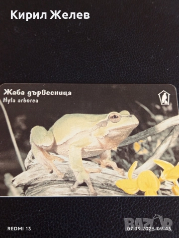 Три фонокарти серия ЖИВОТНИ АЛПИЙСКИ ТРИТОН, ТАРАЛЕЖ,ЖАБА ДЪРВЕСНИЦА 28162, снимка 3 - Други ценни предмети - 51630547