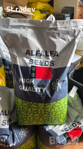 люцерна семе. семена люцерна 