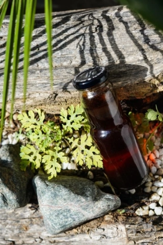 ПРОИЗВЕЖДАМ ОРГАНИЧЕН ДЪРВЕН ОЦЕТ (Organic Wood Vinegar) - ТОР ЗА НАТОРЯВАНЕ НА РАСТЕНИЯТА