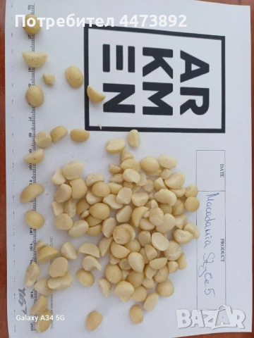 Ядки макадамия (Macadamia kernels) - наличия  в Бьлгария, снимка 2 - Друго търговско оборудване - 53259765