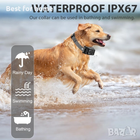 Нашийник против лай, снимка 4 - За кучета - 51595395