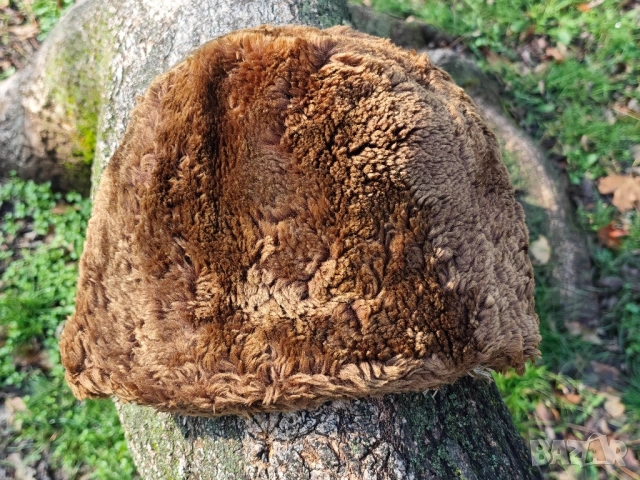 Продавам стар калпак за носия, снимка 4 - Антикварни и старинни предмети - 52521319