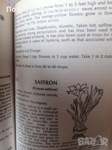 The Herb Book / by John B. Lust, снимка 5 - Специализирана литература - 52857533