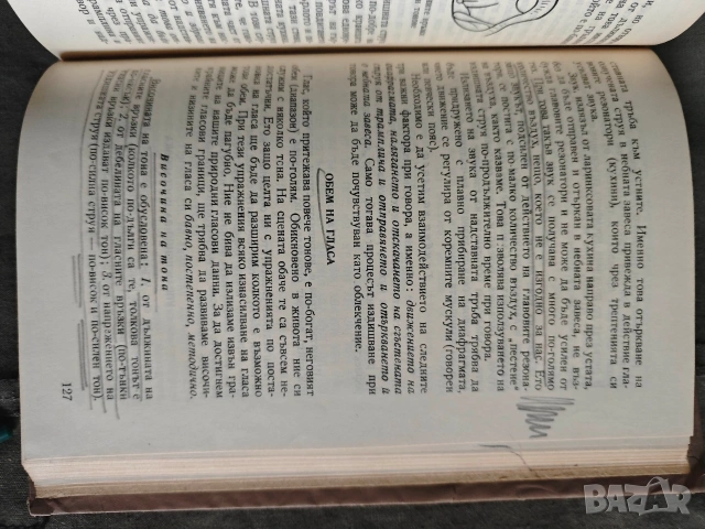 Техника на говора Борис Михайлов, Мара Георгиева, снимка 6 - Специализирана литература - 53396217