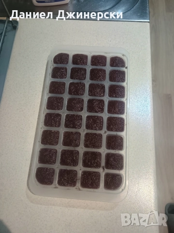 Замразен тубифекс