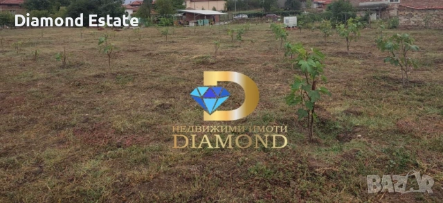 Парцел в село Воден, общ. Димитровград, снимка 5 - Парцели - 51753704