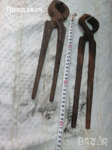 Керпедени, снимка 2 - Клещи - 54043987