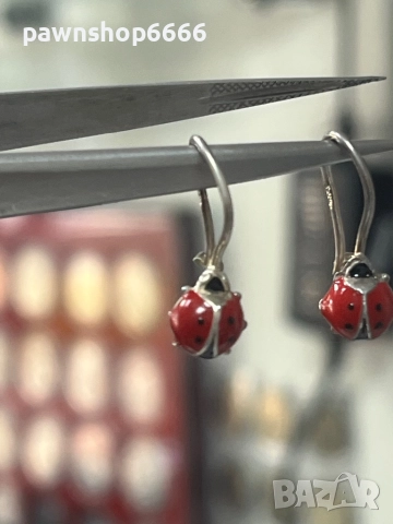 Сребърни обеци 925, снимка 6 - Обеци - 52152401