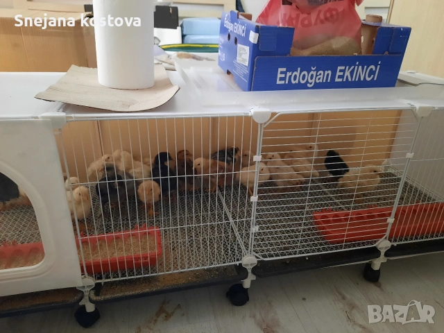 Купувам от собственик 