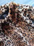 Тигрово, дамско палто и чанта, снимка 5