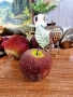 Декоративни плодове, снимка 7